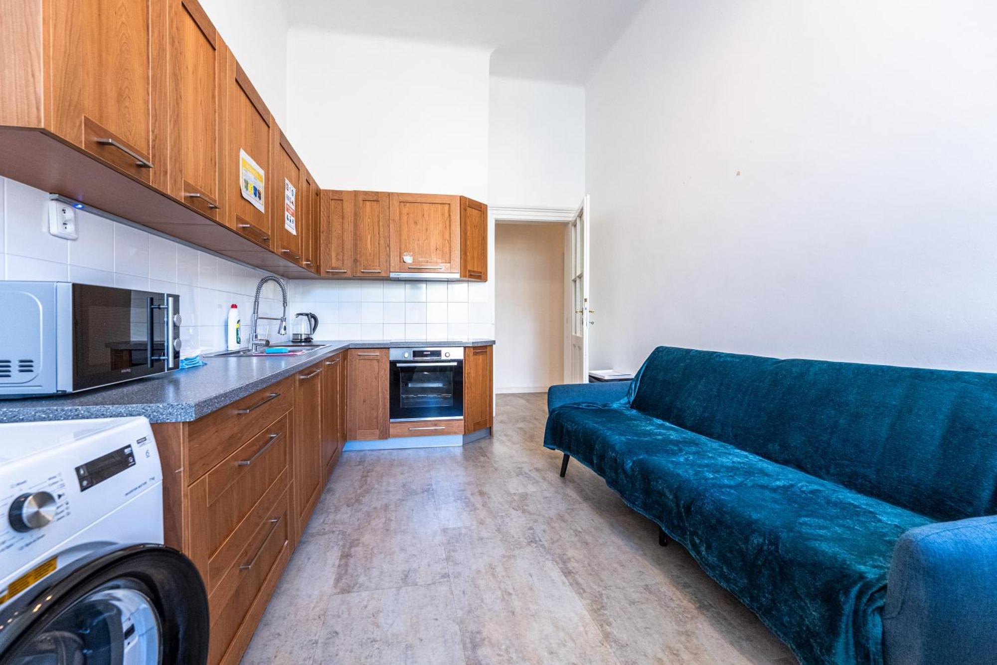 Apartments Safarikova 18 布拉格 外观 照片